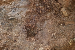 20180529_183928